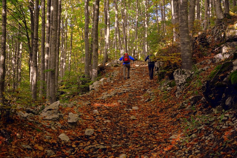 Fitt és egészséges őszi program
